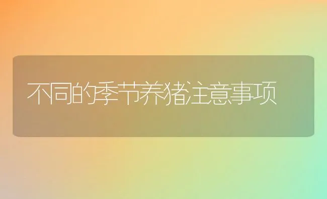 大规格青虾池塘生态养殖技术 | 动物养殖饲料