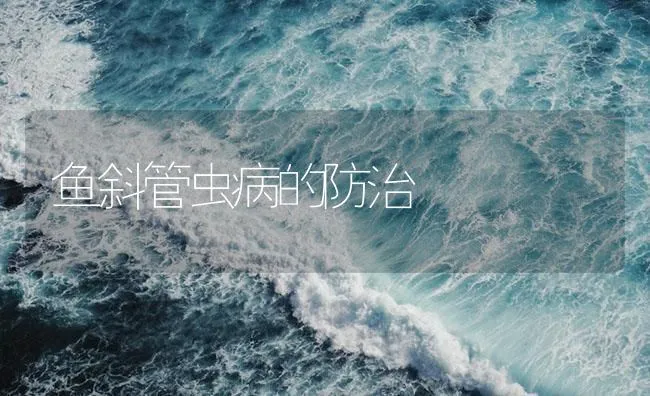 鱼斜管虫病的防治 | 海水养殖技术