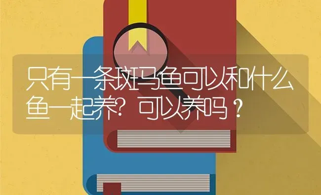 只有一条斑马鱼可以和什么鱼一起养?可以养吗？ | 鱼类宠物饲养