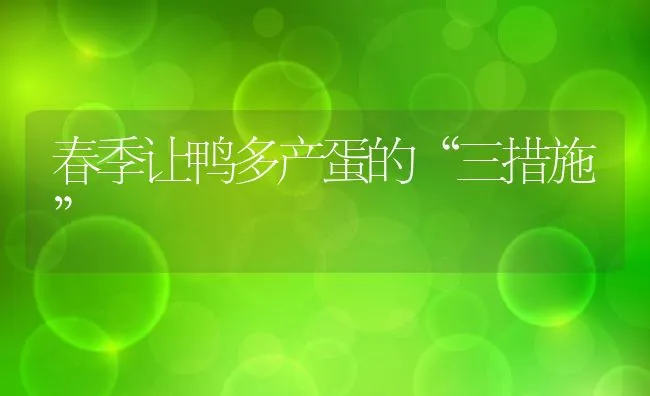 春季让鸭多产蛋的“三措施” | 动物养殖饲料