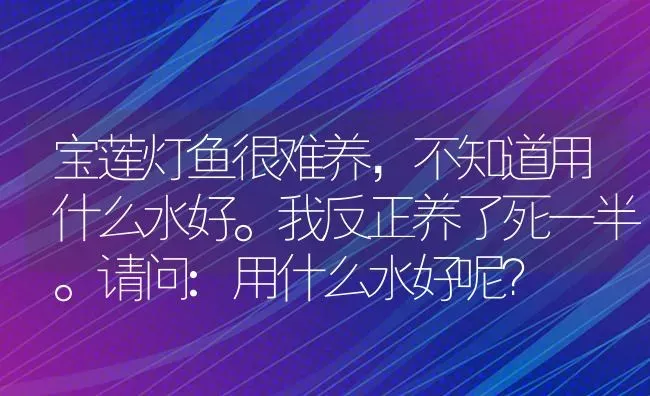 宝莲灯鱼很难养，不知道用什么水好。我反正养了死一半。请问:用什么水好呢？ | 鱼类宠物饲养