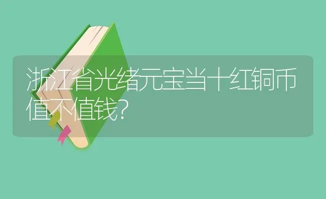 浙江省光绪元宝当十红铜币值不值钱？ | 鱼类宠物饲养