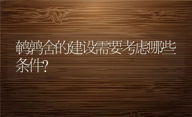 鹌鹑舍的建设需要考虑哪些条件？ | 动物养殖饲料