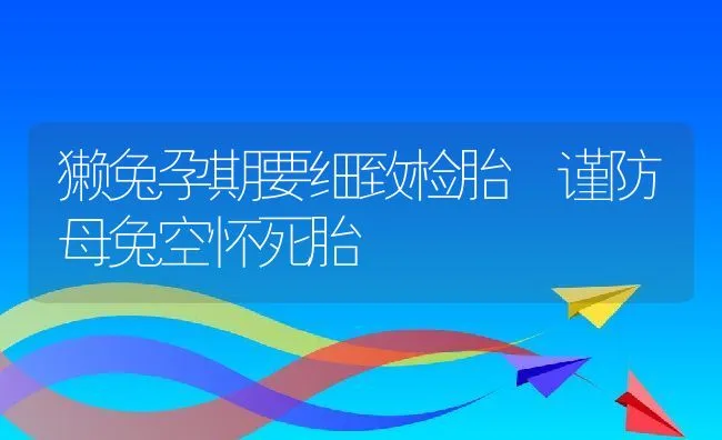 獭兔孕期要细致检胎 谨防母兔空怀死胎 | 水产养殖知识