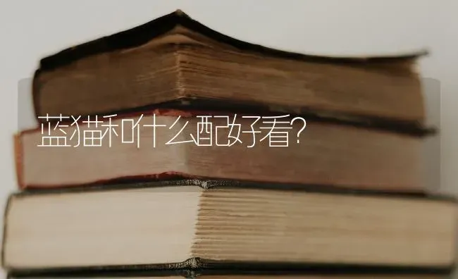 哈士奇晚上乱叫？ | 动物养殖问答