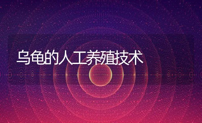 乌龟的人工养殖技术 | 水产养殖知识