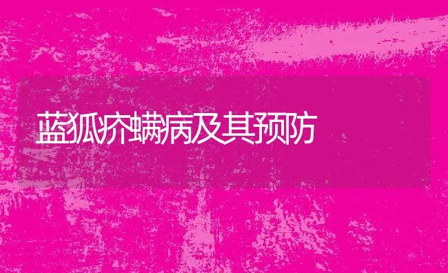 蓝狐疥螨病及其预防 | 动物养殖学堂