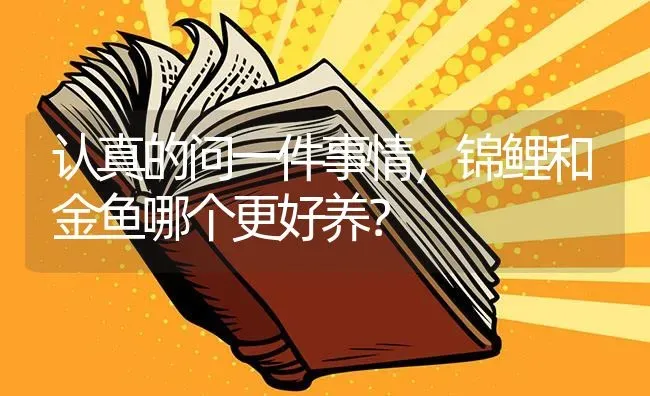 认真的问一件事情，锦鲤和金鱼哪个更好养？ | 鱼类宠物饲养