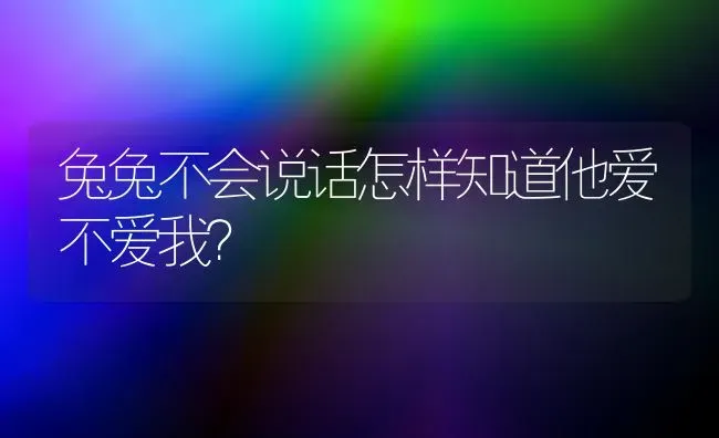 兔兔不会说话怎样知道他爱不爱我？ | 动物养殖问答