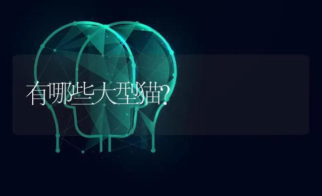 泰迪怎么养（怎么养泰迪）？ | 动物养殖问答