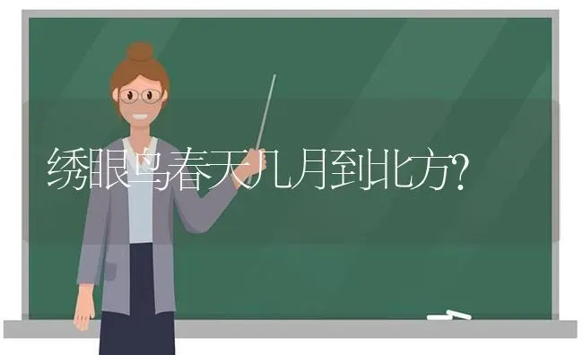 谁知道这是什么品种的猫?特别皮，头上有一撮黑毛，是异瞳白猫？ | 动物养殖问答