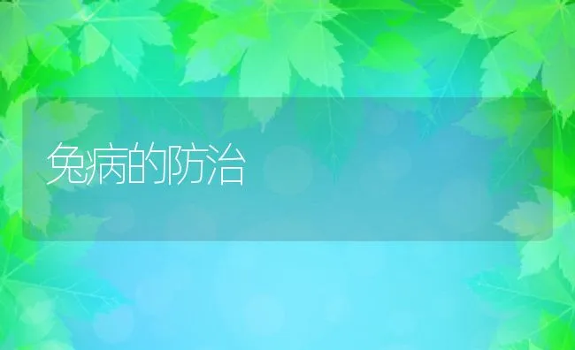 兔病的防治 | 动物养殖学堂