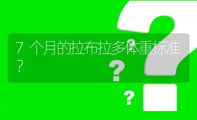 7个月的拉布拉多体重标准？ | 动物养殖问答