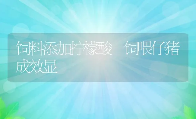 饲料添加拧檬酸 饲喂仔猪成效显 | 动物养殖饲料