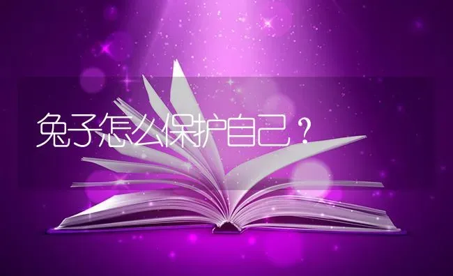 兔子怎么保护自己？ | 动物养殖问答