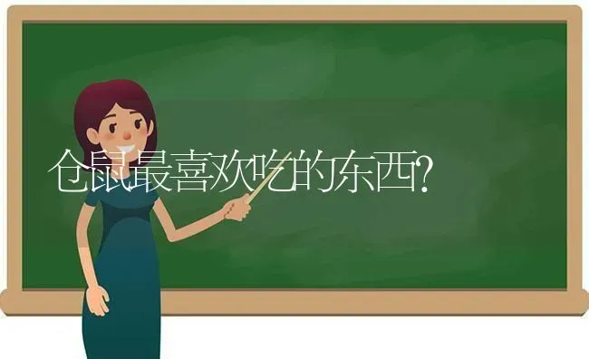 仓鼠最喜欢吃的东西？ | 动物养殖问答