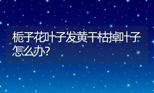 栀子花叶子发黄干枯掉叶子怎么办？ | 动物养殖百科