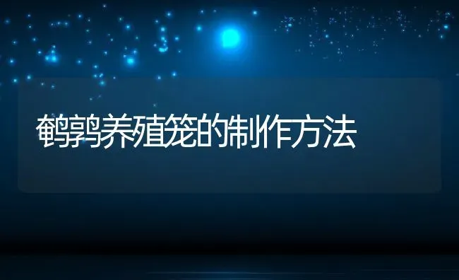 鹌鹑养殖笼的制作方法 | 动物养殖百科