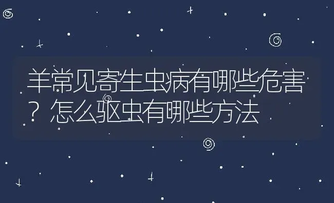 羊常见寄生虫病有哪些危害？怎么驱虫有哪些方法 | 动物养殖百科