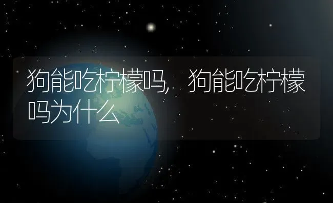 狗能吃柠檬吗,狗能吃柠檬吗为什么 | 宠物百科知识