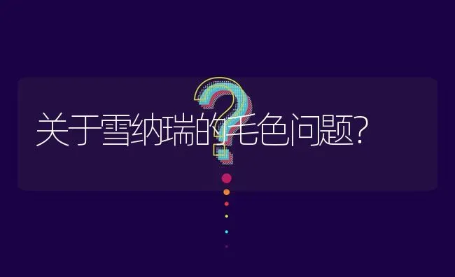 关于雪纳瑞的毛色问题？ | 动物养殖问答