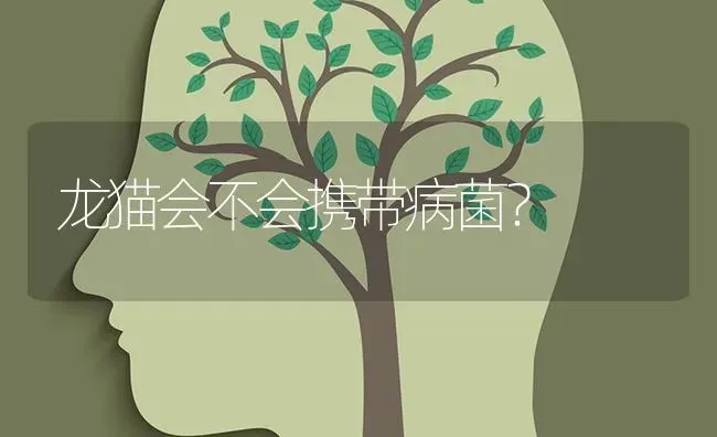 龙猫会不会携带病菌？ | 动物养殖问答