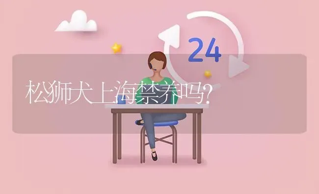 不掉毛耐脏的狗？ | 动物养殖问答