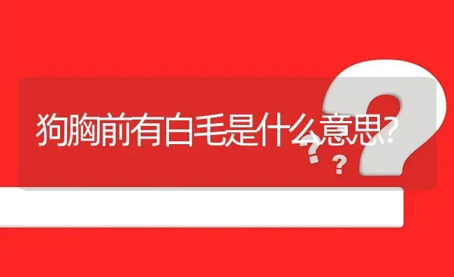 狗胸前有白毛是什么意思？ | 动物养殖问答