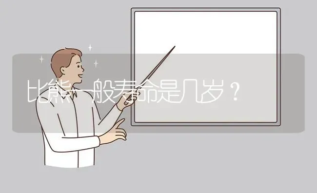 比熊一般寿命是几岁？ | 动物养殖问答