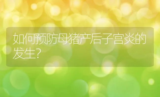 如何预防母猪产后子宫炎的发生？ | 动物养殖学堂