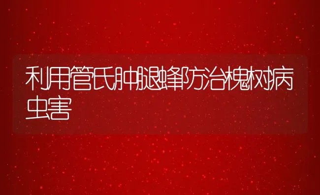 利用管氏肿腿蜂防治槐树病虫害 | 水产养殖知识