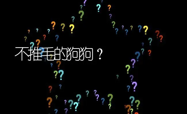 不推毛的狗狗？ | 动物养殖问答