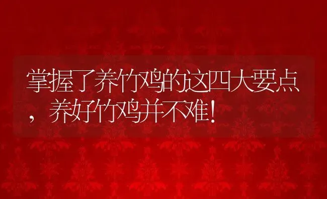 掌握了养竹鸡的这四大要点，养好竹鸡并不难！ | 动物养殖百科