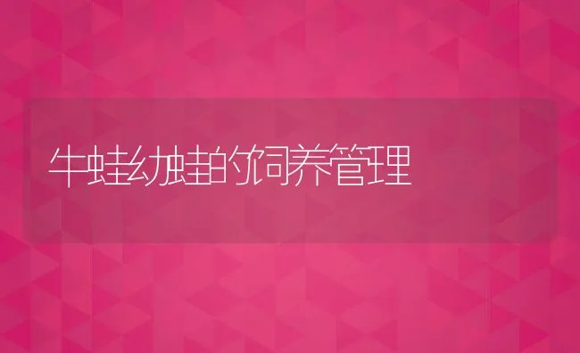 牛蛙幼蛙的饲养管理 | 动物养殖饲料