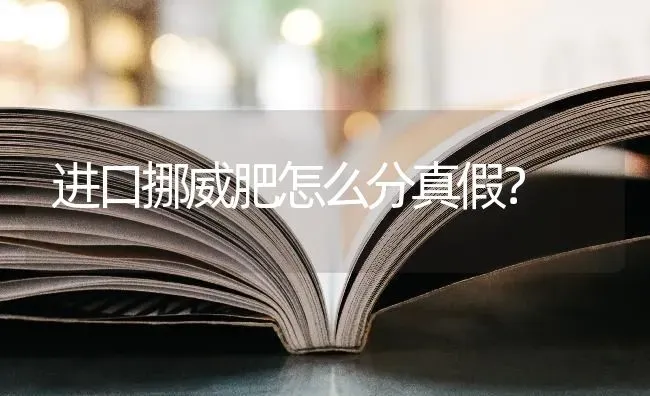 进口挪威肥怎么分真假？ | 动物养殖问答