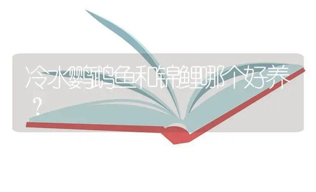 洛克王国vip黄金弹弹机能弹出什么宠物?值？ | 鱼类宠物饲养