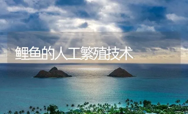 鲤鱼的人工繁殖技术 | 海水养殖技术