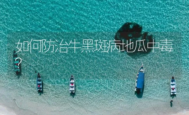 如何防治牛黑斑病地瓜中毒？ | 海水养殖技术