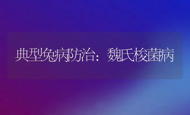 典型兔病防治：魏氏梭菌病 | 水产养殖知识