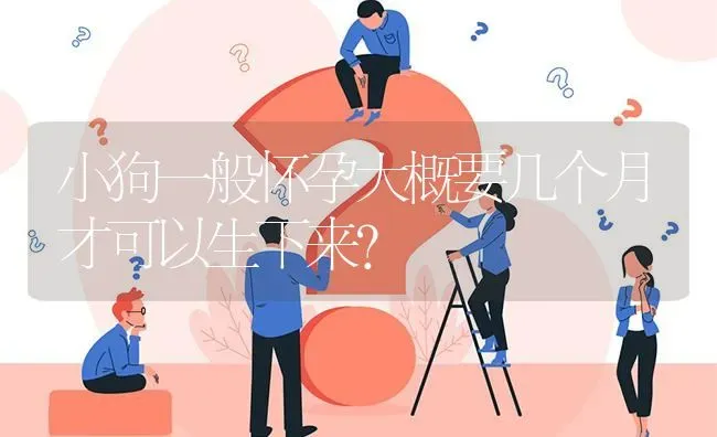 小狗一般怀孕大概要几个月才可以生下来？ | 动物养殖问答