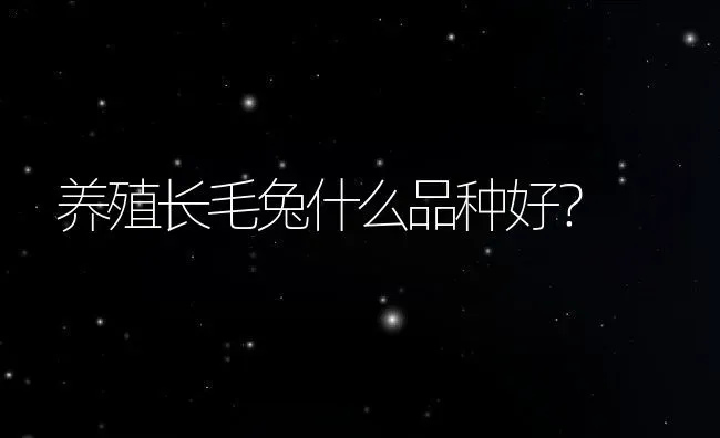 大棚养殖泥鳅技术有哪些 | 动物养殖百科