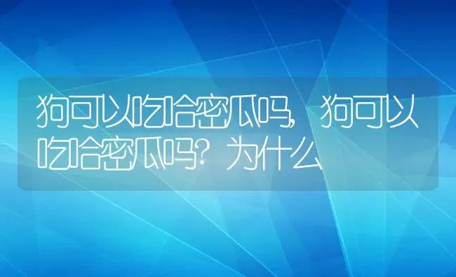 狗可以吃哈密瓜吗,狗可以吃哈密瓜吗?为什么 | 宠物百科知识