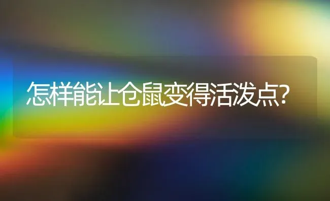 怎样能让仓鼠变得活泼点？ | 动物养殖问答