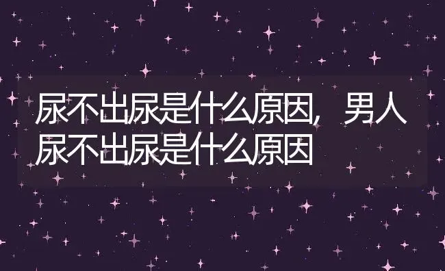 尿不出尿是什么原因,男人尿不出尿是什么原因 | 宠物百科知识