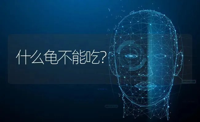 什么龟不能吃？ | 动物养殖问答