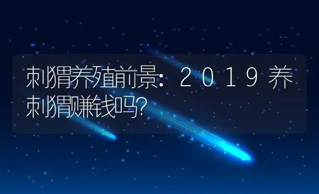 刺猬养殖前景:2019养刺猬赚钱吗？ | 动物养殖百科