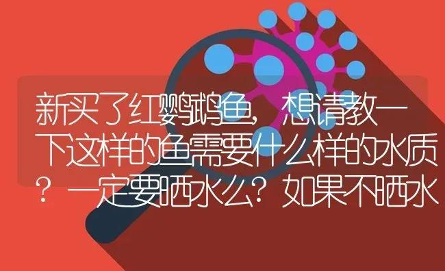 新买了红鹦鹉鱼,想请教一下这样的鱼需要什么样的水质?一定要晒水么?如果不晒水可以用什么水比较好？ | 鱼类宠物饲养