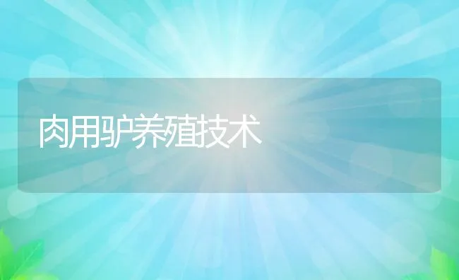 肉用驴养殖技术 | 动物养殖饲料