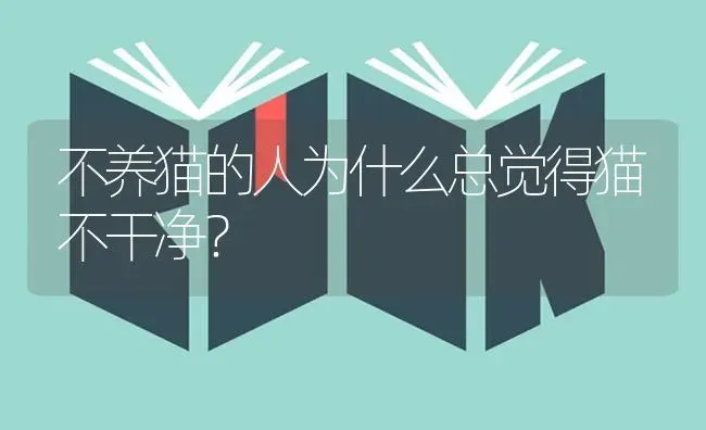 不养猫的人为什么总觉得猫不干净？ | 动物养殖问答