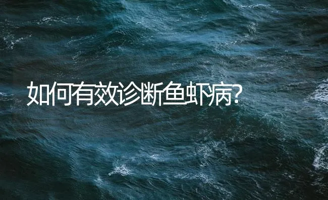 如何有效诊断鱼虾病？ | 海水养殖技术